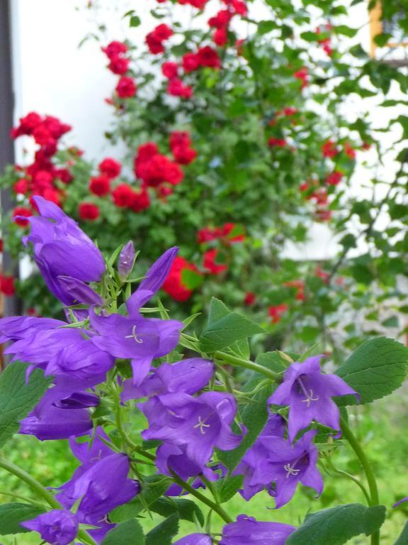 Appartement Landhaus Fiausch