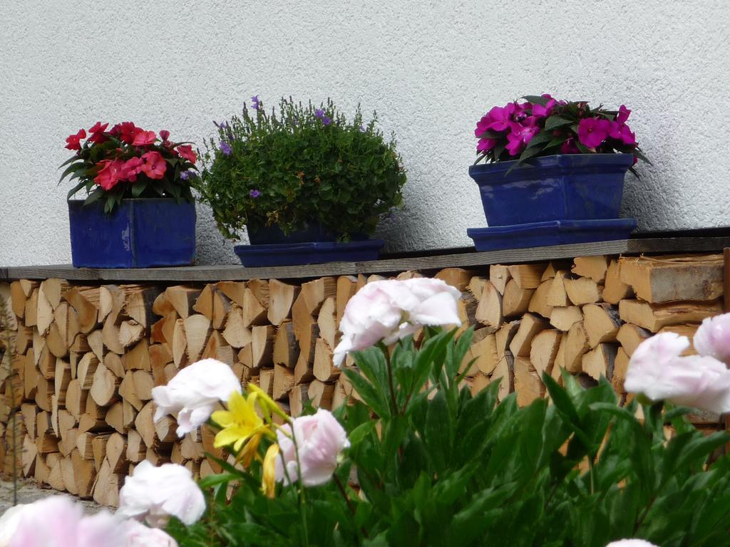 Appartement Landhaus Fiausch *